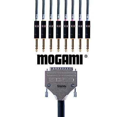 D-B25-to-TRS-Rean-Male-Gold---Mogami